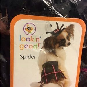 LOOKIN GOOD Dog Halloween spider Costume Size XS/S NWT Dress up trick or treat